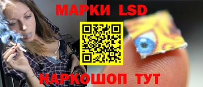 стафф Кингисепп