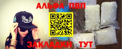 стафф Кингисепп