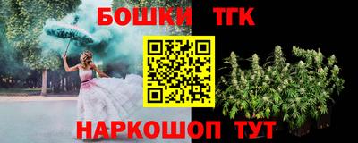 стафф Кингисепп