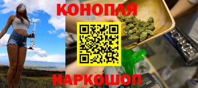 стафф Кингисепп