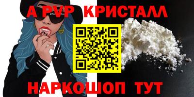 стафф Кингисепп