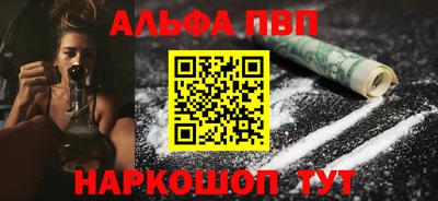 стафф Кингисепп