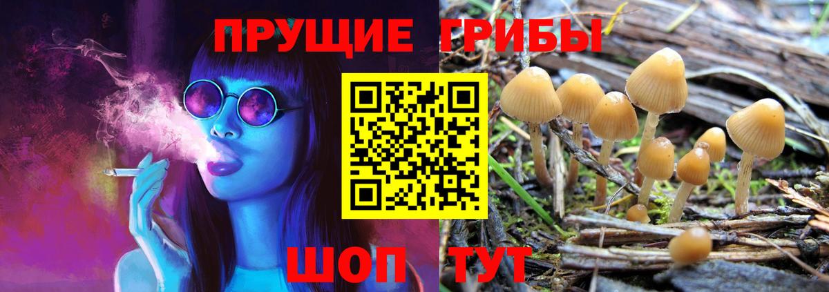 Галлюциногенные грибы мухоморы  Вход с VPN  Карпинск  Галлюциногенные грибы мицелий 