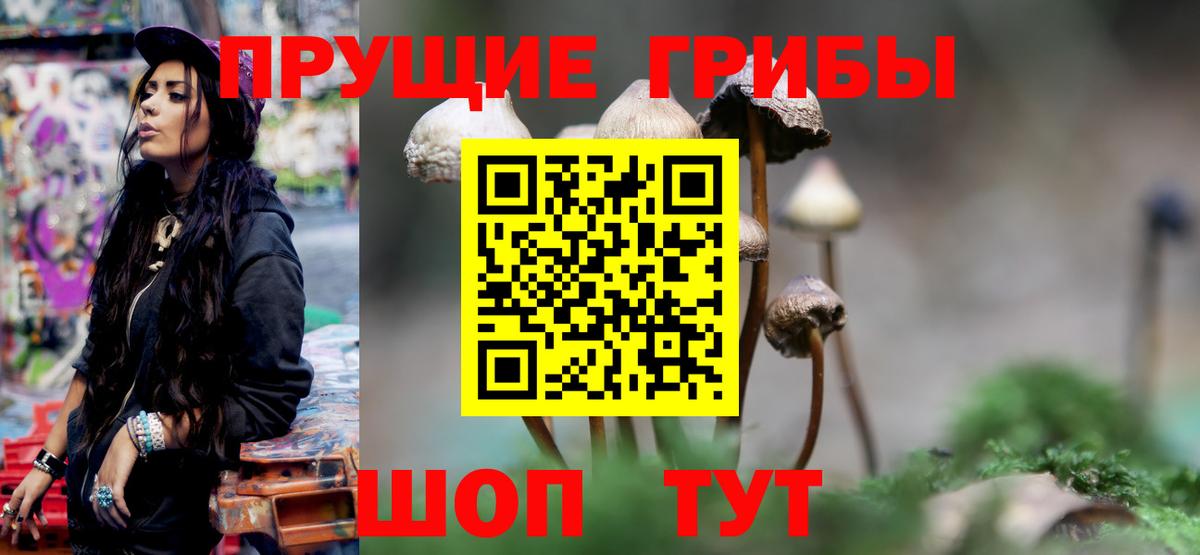 Псилоцибиновые грибы мицелий Карпинск